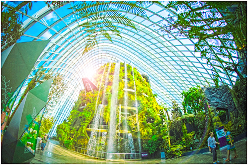 Virtual Trips เที่ยวสิงคโปร์ที่บ้าน