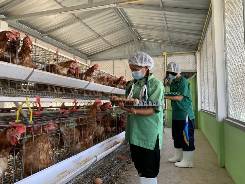 ซีพีเอฟร่วมเติมประสบการณ์ เยาวชนไทยวิถีใหม่  