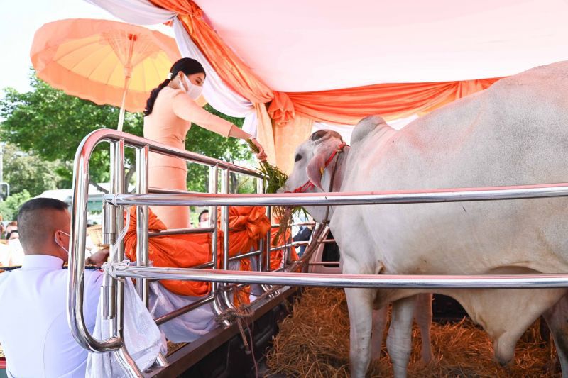 “สมเด็จเจ้าฟ้าสิริวัณณวรีฯ" ทรงบำเพ็ญพระกุศล เนื่องในวันประสูติ