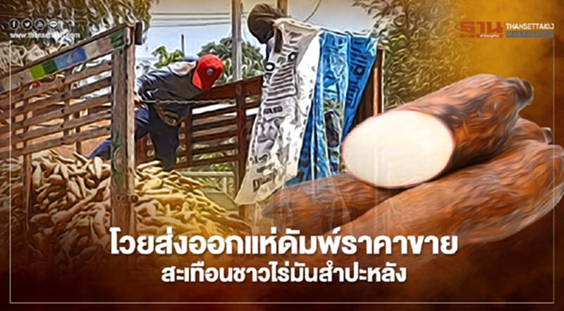 โวยส่งออกแห่ดัมพ์ราคาขาย สะเทือนชาวไร่มันสำปะหลัง โวยส่งออกแห่ดัมพ์ราคาขาย สะเทือนชาวไร่มันสำปะหลัง