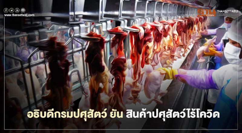 อธิบดีกรมปศุสัตว์ ยันสินค้าปศุสัตว์ไร้โควิด อธิบดีกรมปศุสัตว์ ยันสินค้าปศุสัตว์ไร้โควิด