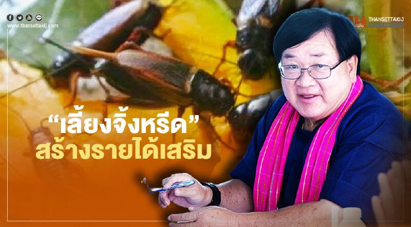 หนุน เกษตรกร “เลี้ยงจิ้งหรีด” สร้างรายได้เสริมช่วงแล้ง