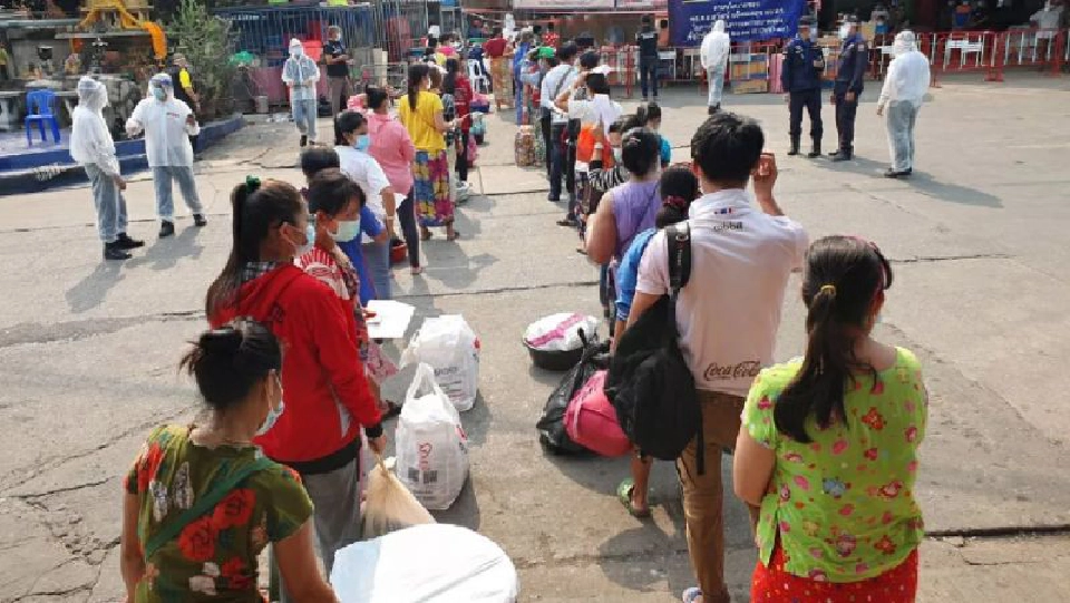 แรงงานเมียนมาคืนสู่ตลาดกลางกุ้ง