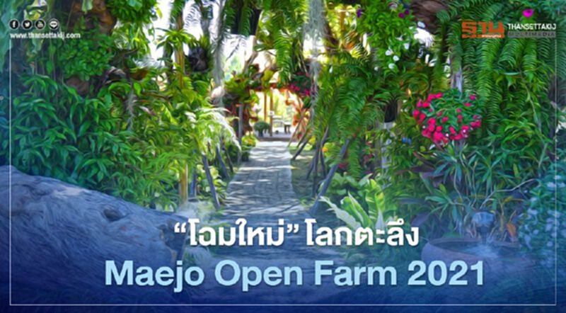 "โฉมใหม่"โลกตะลึง Maejo Open Farm 2021 "โฉมใหม่"โลกตะลึง Maejo Open Farm 2021