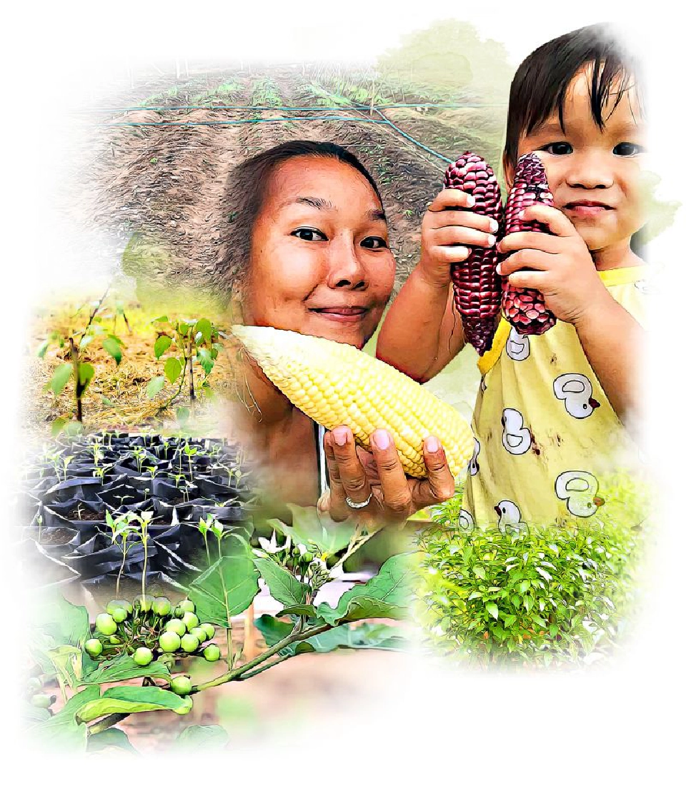 U-Farm ผุดไอเดีย ปลูกผักตามสั่ง ต่อยอดสมาร์ทฟาร์ม 