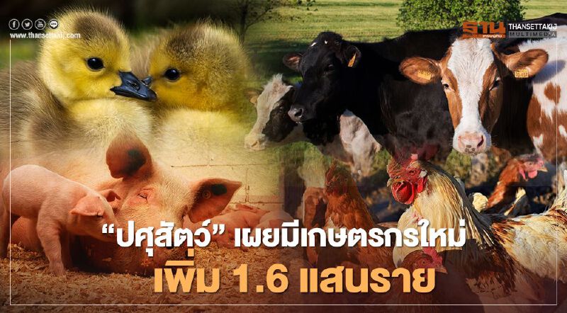 เช็กด่วน “เยียวยาเกษตรกรรอบ 2" “กรมปศุสัตว์” เผยมี เกษตรกร รายใหม่ เพิ่ม 1.6 แสนราย