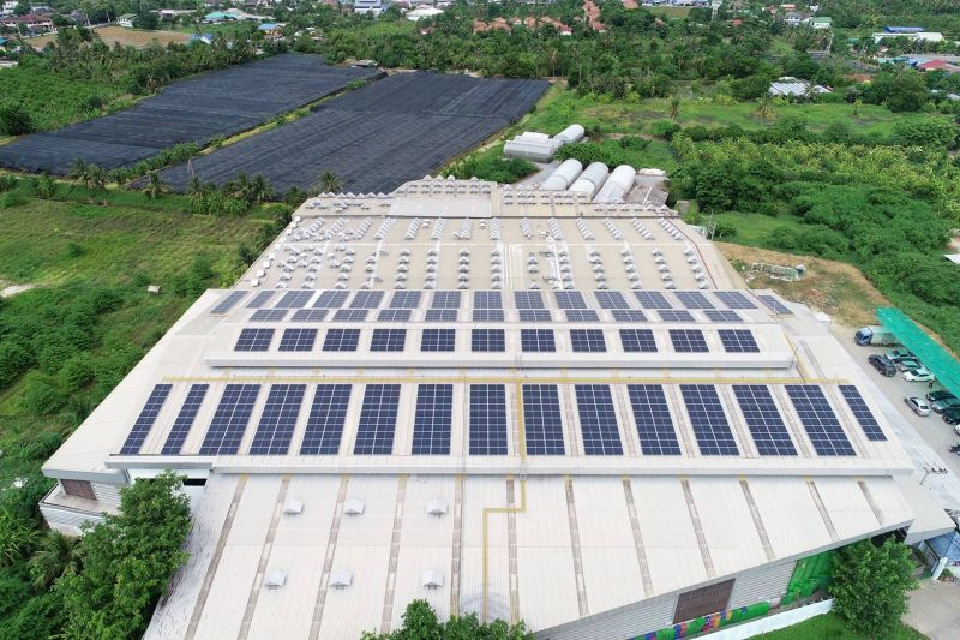 ‘SCN’ สร้างธุรกิจสีเขียว ไม่ทำร้ายสิ่งแวดล้อม