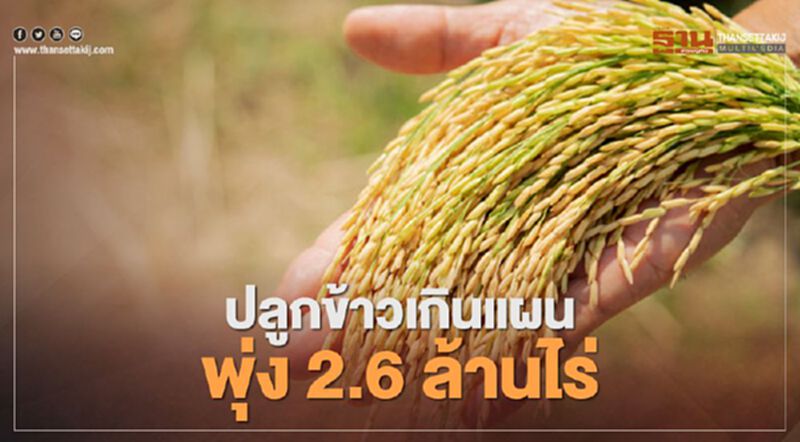 ห้ามไม่ได้จริงๆ "ชาวนา" ปลูกข้าวเกินแผนพุ่ง 2.6 ล้านไร่ ห้ามไม่ได้จริงๆ "ชาวนา" ปลูกข้าวเกินแผนพุ่ง 2.6 ล้านไร่