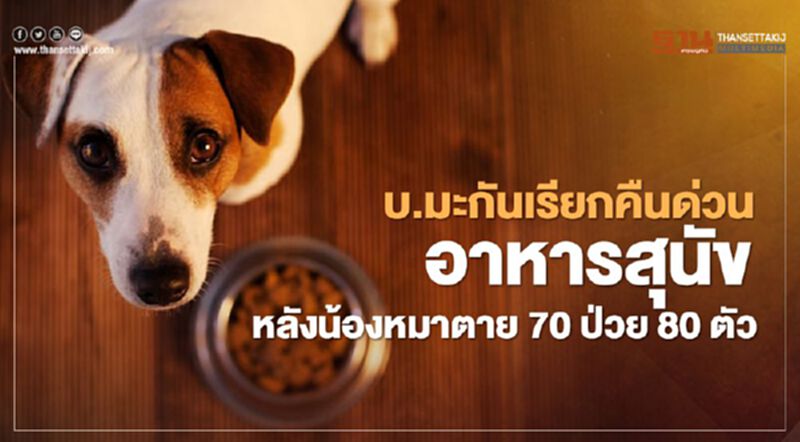 ผู้ผลิตอาหารสุนัขของสหรัฐ เรียกคืนสินค้าครั้งแรกในรอบ 95 ปี หลังน้องหมาตายกว่า 70 ตัว ผู้ผลิตอาหารสุนัขของสหรัฐ เรียกคืนสินค้าครั้งแรกในรอบ 95 ปี หลังน้องหมาตายกว่า 70 ตัว