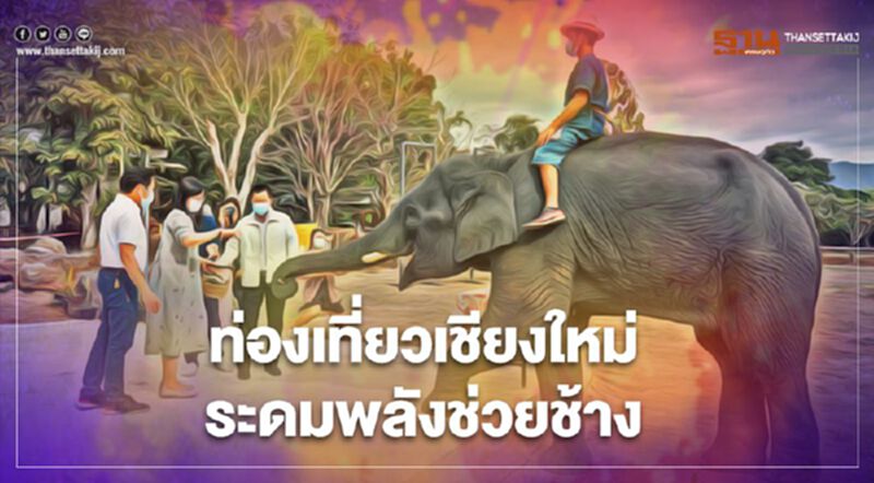 ท่องเที่ยวเชียงใหม่ระดมพลังช่วยช้าง ท่องเที่ยวเชียงใหม่ระดมพลังช่วยช้าง