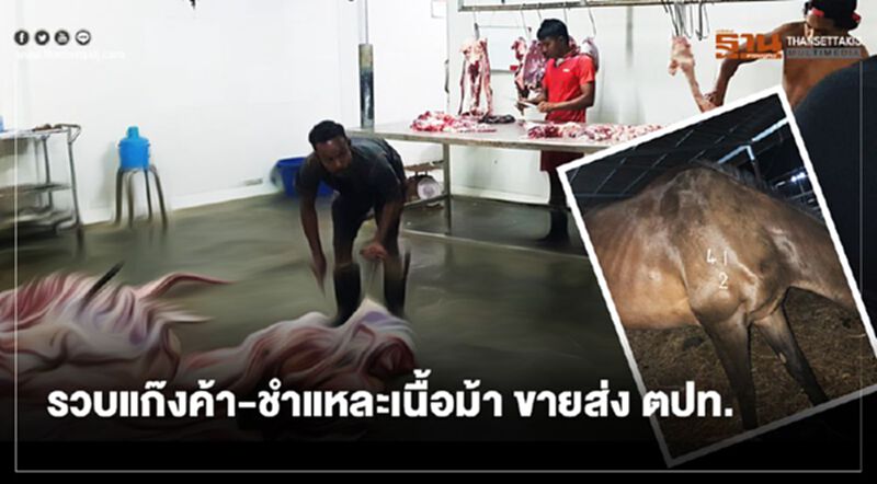 รวบแก๊งค้า-ชำแหละเนื้อม้า ขายส่ง ตปท. รวบแก๊งค้า-ชำแหละเนื้อม้า ขายส่ง ตปท.