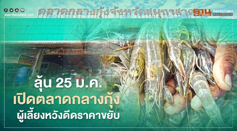 ลุ้น 25 ม.ค.เปิดตลาดกลางกุ้ง ผู้เลี้ยงหวังคนแห่ซื้อดีดราคาขยับ ลุ้น 25 ม.ค.เปิดตลาดกลางกุ้ง ผู้เลี้ยงหวังคนแห่ซื้อดีดราคาขยับ