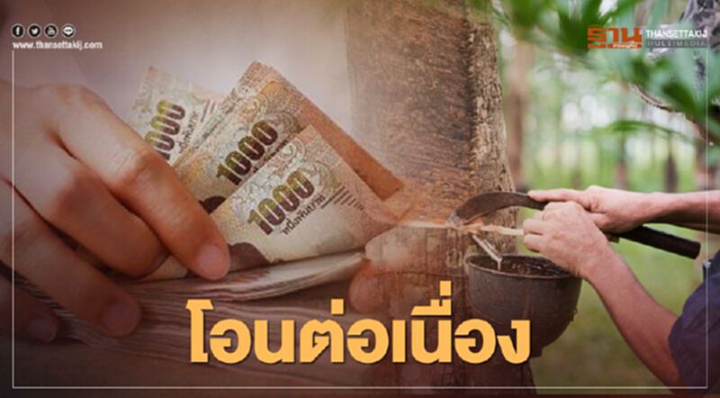 เช็กด่วน “เงินประกันรายได้ยาง” จ่ายทบ 2 งวด ธ.ก.ส. โอนต่อเนื่อง เช็กด่วน “เงินประกันรายได้ยาง” จ่ายทบ 2 งวด ธ.ก.ส. โอนต่อเนื่อง