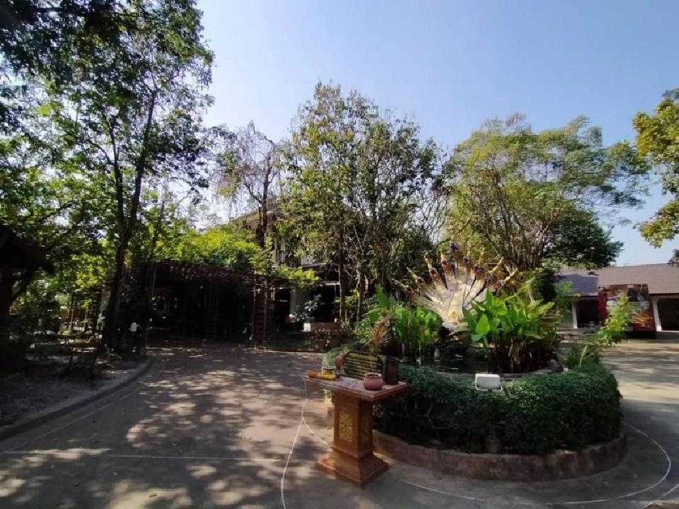 บทเรียน"แม่นกน้อย" ขายบ้านเลี้ยงวงหมอลำ"อาชีพไร้หลักประกัน" 