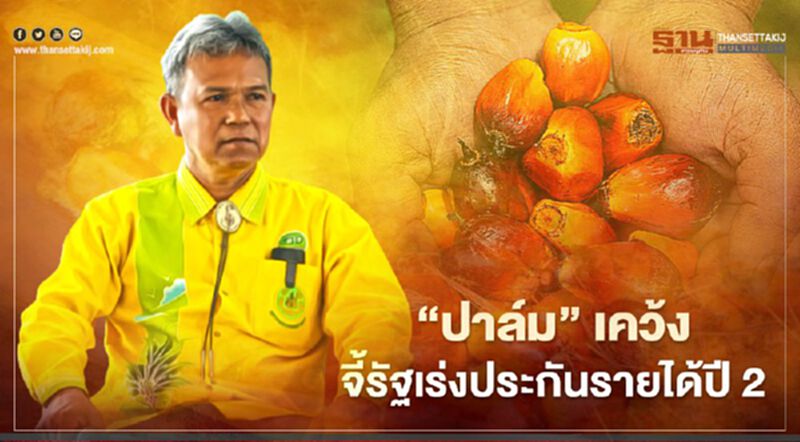 “ปาล์ม” เคว้ง จี้รัฐเร่งประกันรายได้ปี2 “ปาล์ม” เคว้ง จี้รัฐเร่งประกันรายได้ปี2