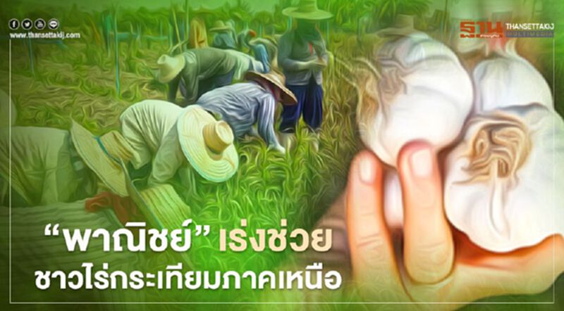 "พาณิชย์" เร่งหามาตรการเชิงรุกช่วยชาวไร่กระเทียม 9 จังหวัดภาคเหนือ "พาณิชย์" เร่งหามาตรการเชิงรุกช่วยชาวไร่กระเทียม 9 จังหวัดภาคเหนือ