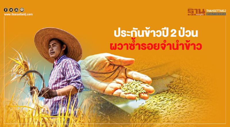 "ประกันข้าว" ปี2 ป่วน ผวาซ้ำรอยจำนำข้าว "ประกันข้าว" ปี2 ป่วน ผวาซ้ำรอยจำนำข้าว