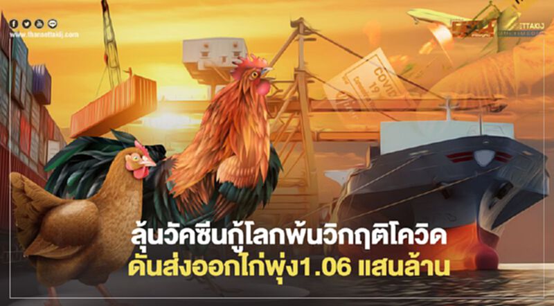 ลุ้นวัคซีนกู้โลกพ้นวิกฤติโควิด ดันส่งออกไก่พุ่ง 1.06 แสนล้าน ลุ้นวัคซีนกู้โลกพ้นวิกฤติโควิด ดันส่งออกไก่พุ่ง 1.06 แสนล้าน