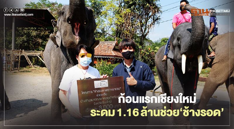 ก้อนแรกเชียงใหม่ระดม1.16ล้านช่วย‘ช้างรอด’