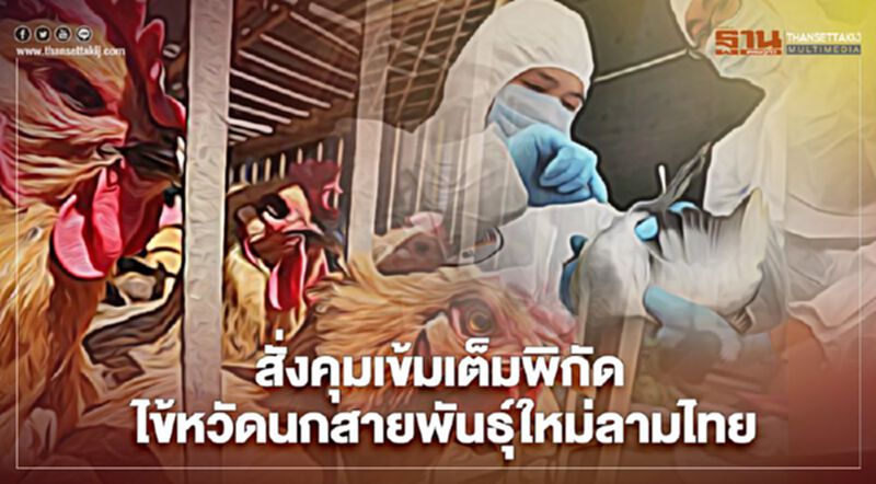 อธิบดีกรมปศุสัตว์ สั่งคุมเข้มเต็มพิกัด “ไข้หวัดนก” สายพันธุ์ใหม่ "H5N8" ลามไทย อธิบดีกรมปศุสัตว์ สั่งคุมเข้มเต็มพิกัด “ไข้หวัดนก” สายพันธุ์ใหม่ "H5N8" ลามไทย