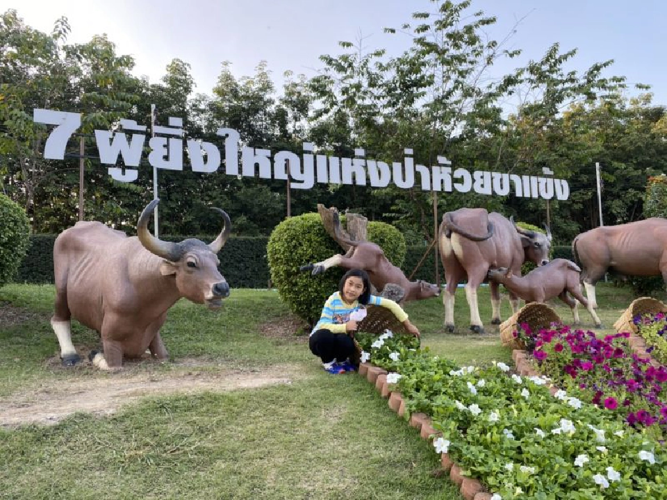 แก่นมะกรูด หนาวสุดกลางสยาม ที่อุทัยธานี