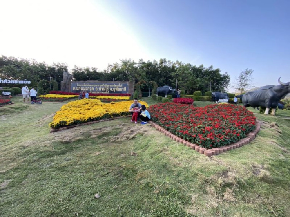 แก่นมะกรูด หนาวสุดกลางสยาม ที่อุทัยธานี