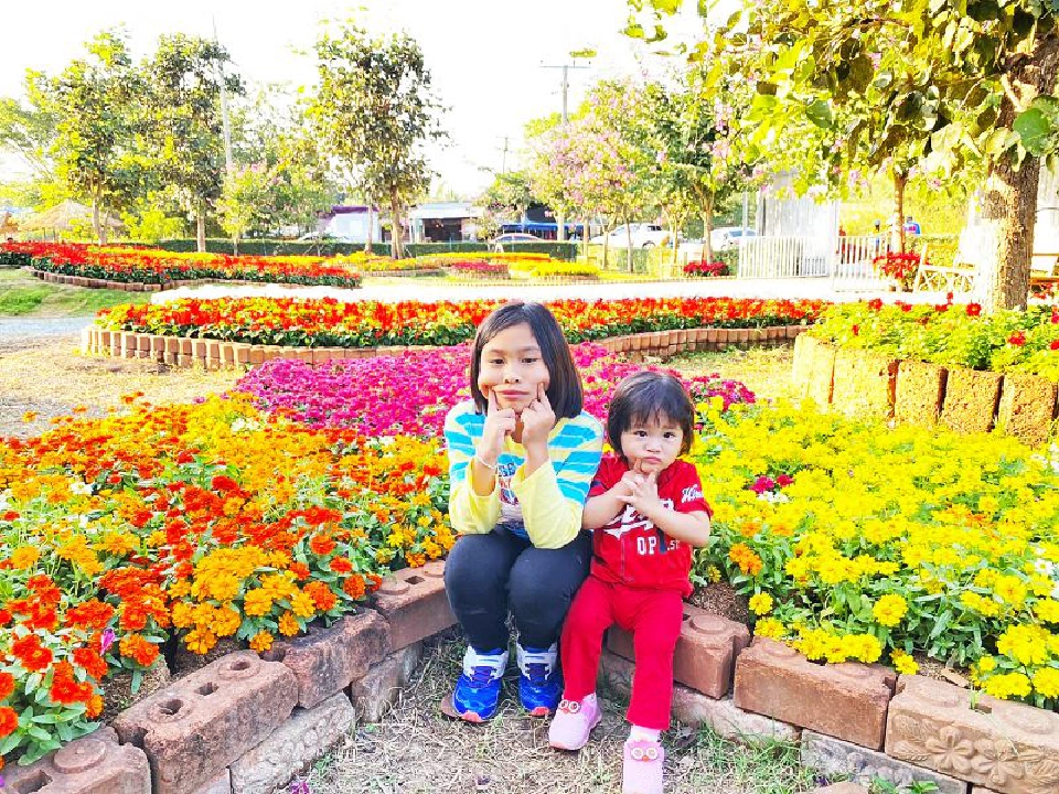 แก่นมะกรูด หนาวสุดกลางสยาม ที่อุทัยธานี