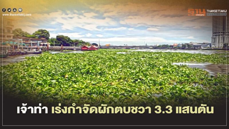 เจ้าท่า บุก 4 แม่น้ำสายหลัก เร่งกำจัดผักตบชวา 3.3 แสนตัน เจ้าท่า บุก 4 แม่น้ำสายหลัก เร่งกำจัดผักตบชวา 3.3 แสนตัน