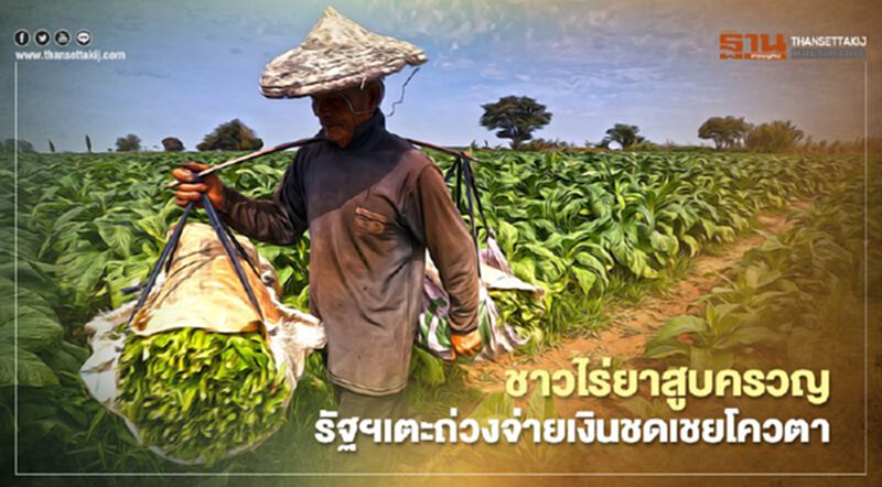ชาวไร่ยาสูบกระทุ้งรัฐบาลทบทวนขึ้นภาษี 40% ชาวไร่ยาสูบกระทุ้งรัฐบาลทบทวนขึ้นภาษี 40%