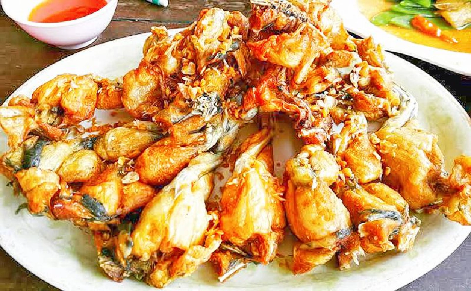 กบเมืองกาญจน์ (ตะนาวศรี)