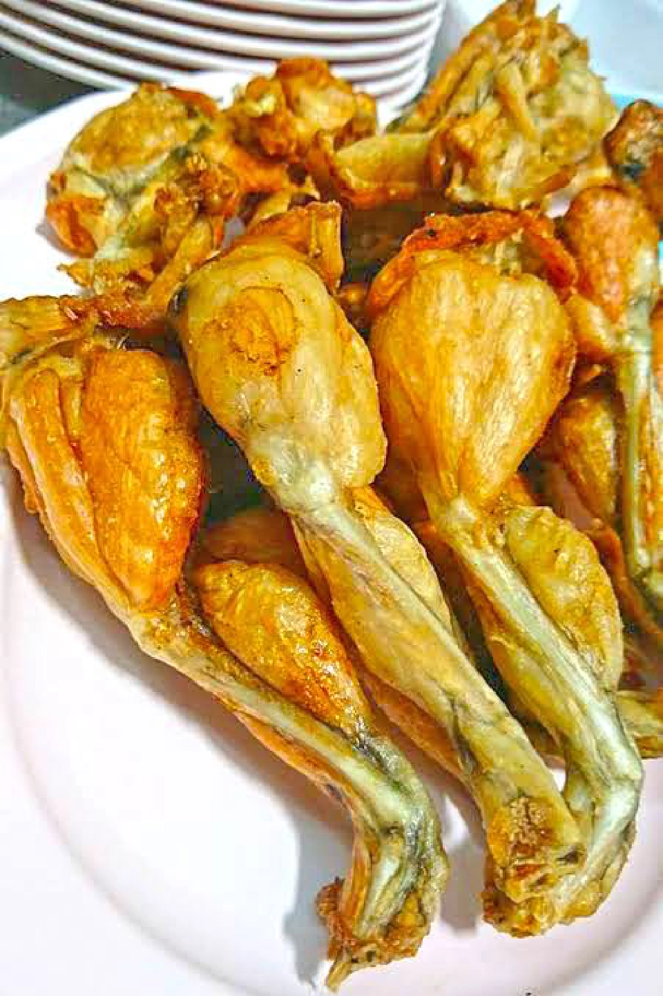 กบเมืองกาญจน์ (ตะนาวศรี)