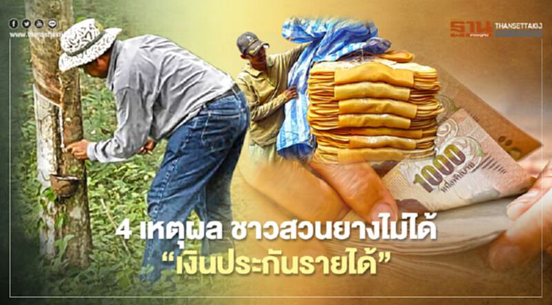 "ประกันรายได้ยางพารา" 4 เหตุผลที่เกษตรกรยังไม่ได้เงินงวด 1 และ 2 เช็กได้ที่นี่ "ประกันรายได้ยางพารา" 4 เหตุผลที่เกษตรกรยังไม่ได้เงินงวด 1 และ 2 เช็กได้ที่นี่