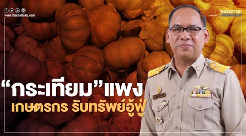 “กระเทียม” แพง เกษตรกร รับทรัพย์อู้ฟู่ “กระเทียม” แพง เกษตรกร รับทรัพย์อู้ฟู่