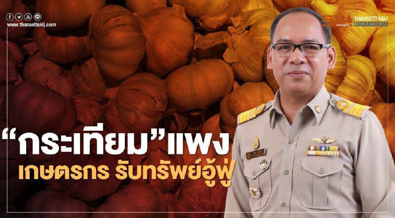 “กระเทียม” แพง เกษตรกร รับทรัพย์อู้ฟู่