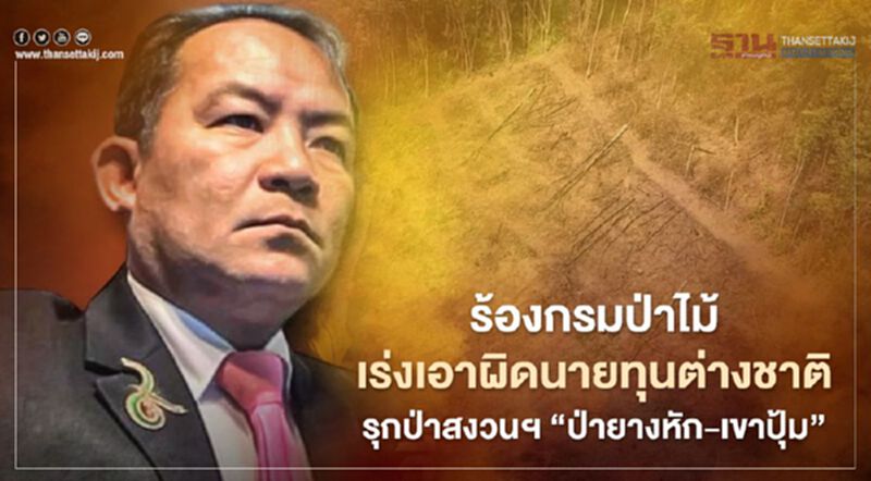 ศรีสุวรรณบุก ร้องกรมป่าไม้เร่งเอาผิดนายทุนต่างชาติรุกป่าสงวนฯ “ป่ายางหัก-เขาปุ้ม” ศรีสุวรรณบุก ร้องกรมป่าไม้เร่งเอาผิดนายทุนต่างชาติรุกป่าสงวนฯ “ป่ายางหัก-เขาปุ้ม”