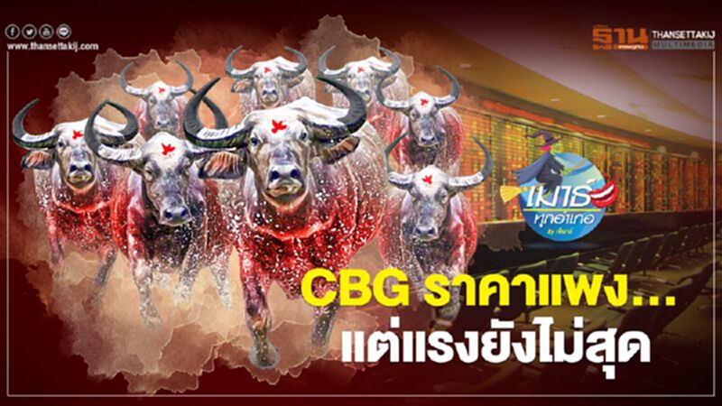 CBG ราคาแพง... แต่แรงยังไม่สุด CBG ราคาแพง... แต่แรงยังไม่สุด