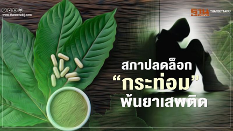 ฉลุย! มติสภาปลดล็อกพืชกระท่อมพ้นบัญชียาเสพติด ฉลุย! มติสภาปลดล็อกพืชกระท่อมพ้นบัญชียาเสพติด