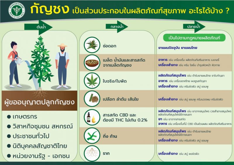 ดีเดย์ 29 ม.ค. ขออนุญาตปลูกกัญชงได้แล้ว