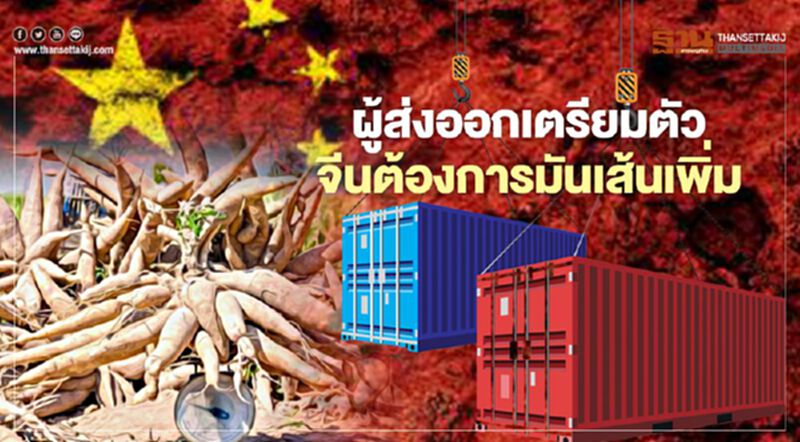 ผู้ส่งออกเตรียมตัว จีนต้องการมันเส้นเพิ่ม ผู้ส่งออกเตรียมตัว จีนต้องการมันเส้นเพิ่ม