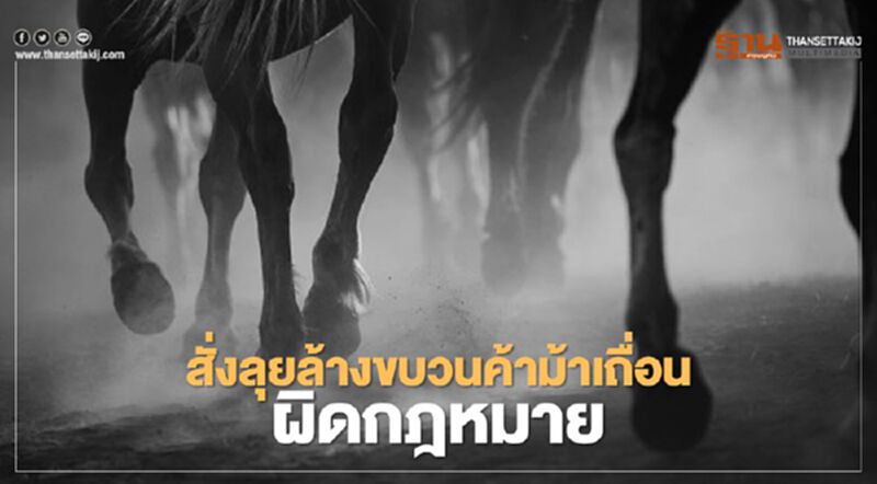 สั่งลุยล้างขบวนค้าม้าเถื่อนผิดกฎหมาย สั่งลุยล้างขบวนค้าม้าเถื่อนผิดกฎหมาย
