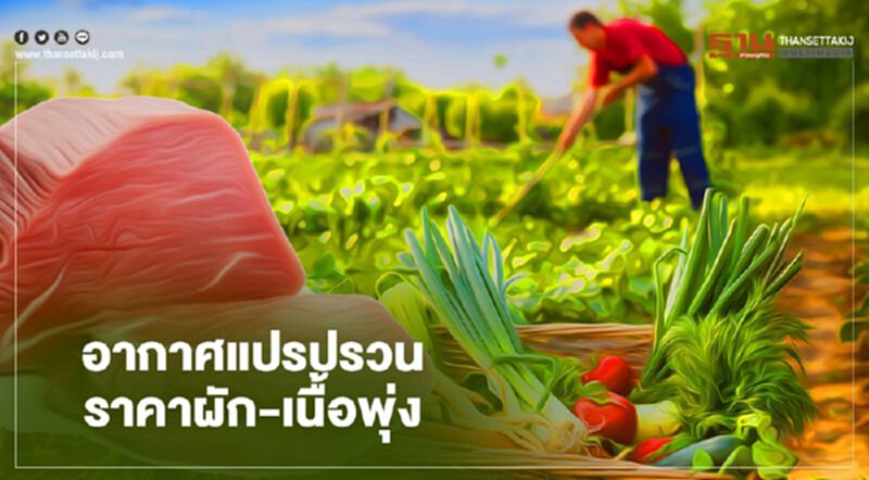 อากาศแปรปรวน ราคาผัก-เนื้อพุ่ง ผู้ค้าแบกต้นทุน อากาศแปรปรวน ราคาผัก-เนื้อพุ่ง ผู้ค้าแบกต้นทุน