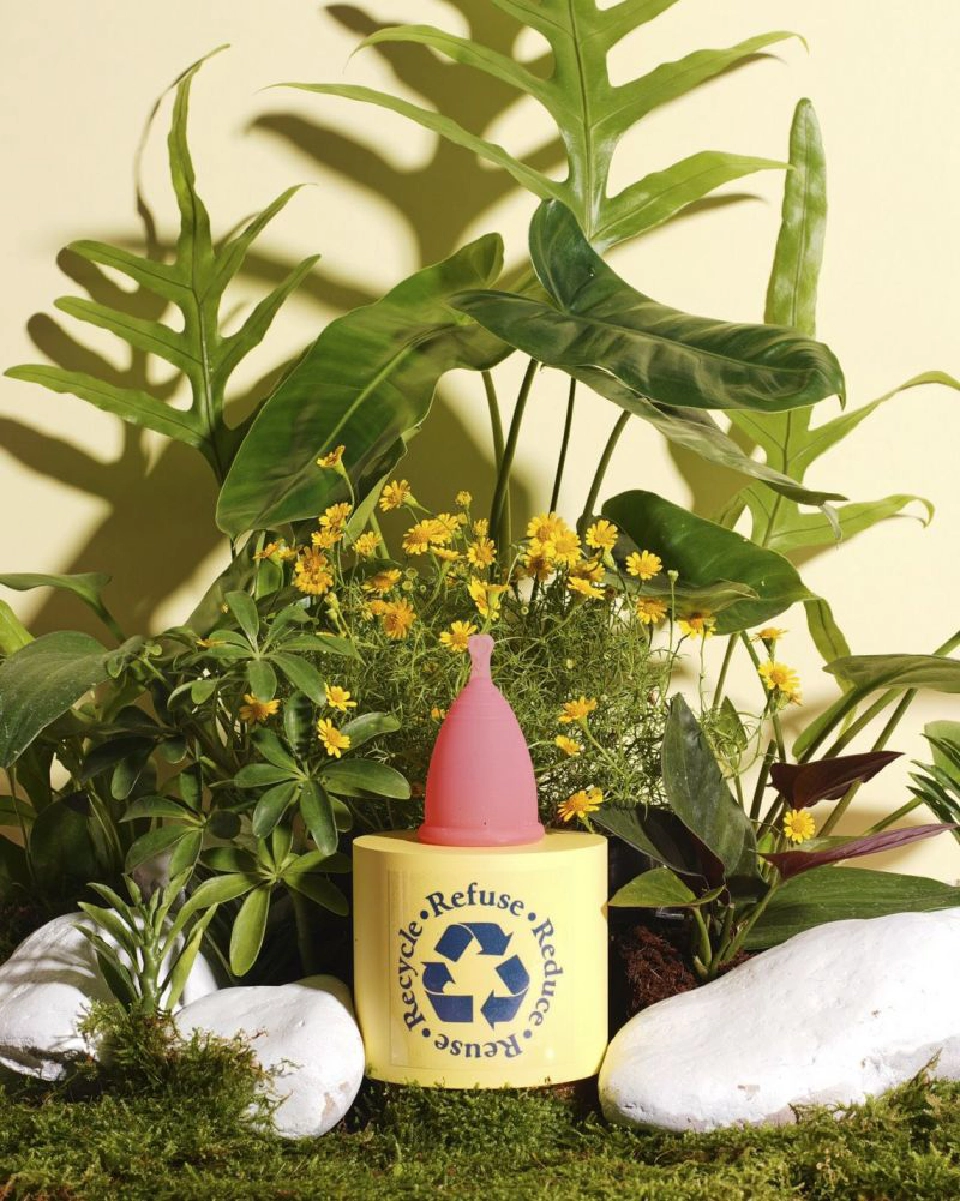 “ถ้วยอนามัย”Healthy for Women