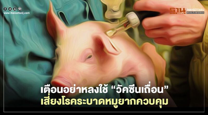 เตือนอย่าหลงใช้ “วัคซีนเถื่อน” เสี่ยงโรคระบาดหมูยากควบคุม เตือนอย่าหลงใช้ “วัคซีนเถื่อน” เสี่ยงโรคระบาดหมูยากควบคุม