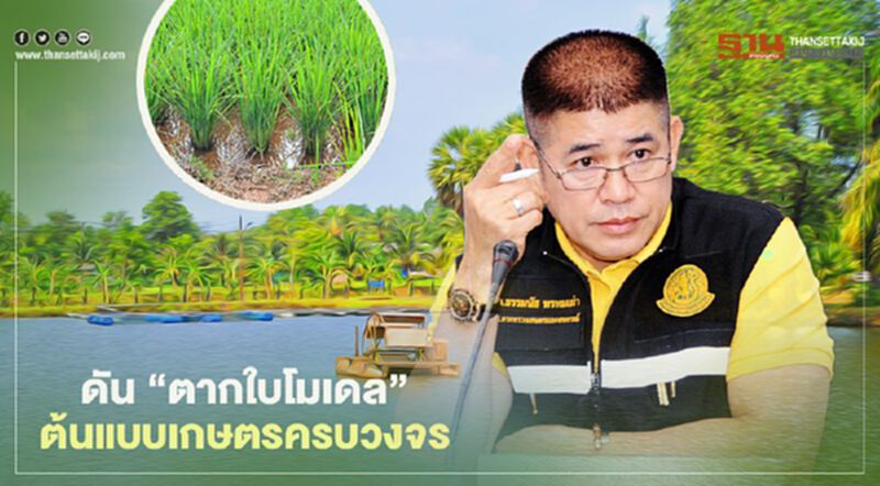 ดัน “ตากใบโมเดล” ต้นแบบเกษตรครบวงจร ดัน “ตากใบโมเดล” ต้นแบบเกษตรครบวงจร