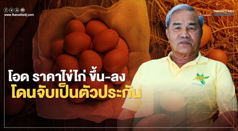 “เกษตรกร” โอด ราคาไข่ไก่ ขึ้น-ลง โดนจับเป็นตัวประกัน “เกษตรกร” โอด ราคาไข่ไก่ ขึ้น-ลง โดนจับเป็นตัวประกัน