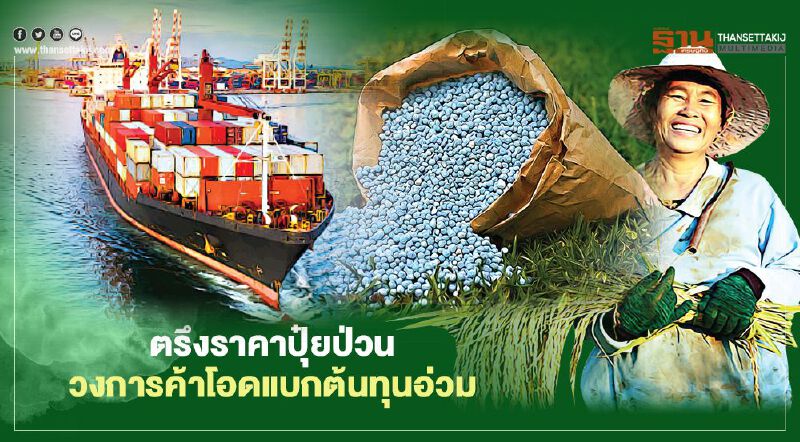 ตรึงราคาปุ๋ยป่วน วงการค้าโอด แบกต้นทุนอ่วม