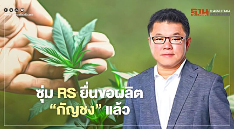 ซุ่ม RS ยื่นขอผลิต “กัญชง” แล้ว ซุ่ม RS ยื่นขอผลิต “กัญชง” แล้ว