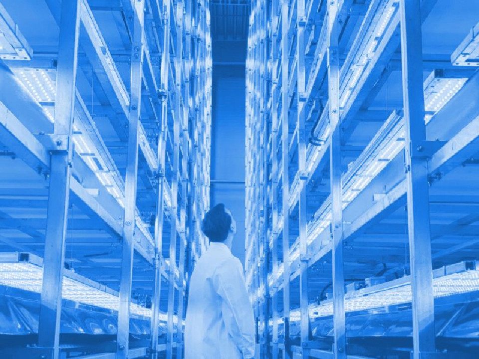 เดนมาร์กเผยโฉม “คอนโดผักสวนครัว” ใหญ่สุดในยุโรป