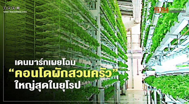 เดนมาร์กเผยโฉม “คอนโดผักสวนครัว” ใหญ่สุดในยุโรป เดนมาร์กเผยโฉม “คอนโดผักสวนครัว” ใหญ่สุดในยุโรป
