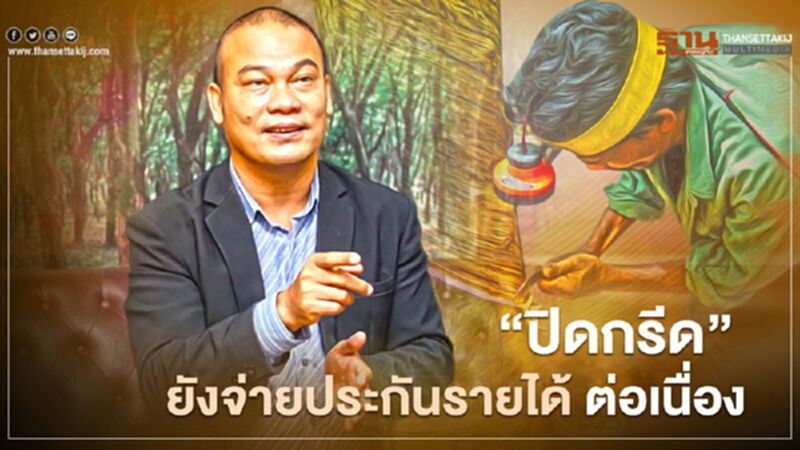 “ปิดกรีด” ยังจ่ายประกันรายได้ยางพารา ต่อเนื่อง “ปิดกรีด” ยังจ่ายประกันรายได้ยางพารา ต่อเนื่อง